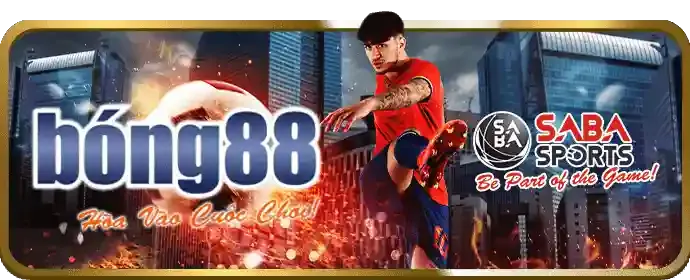 Đội ngũ hỗ trợ khách hàng VA88